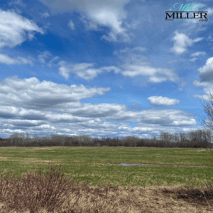 Lot 1 Con 2 Brethour Township