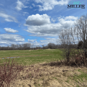 Lot 1 Con 2 Brethour Township