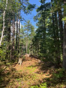 Island 1093 Lake Temagami