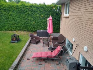 236 Little Street