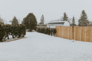 25 Pine Avenue W
