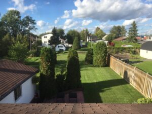 25 Pine Avenue W