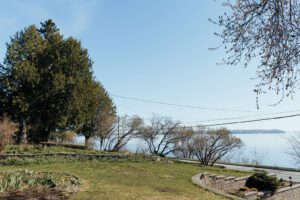 740 Lakeshore Road