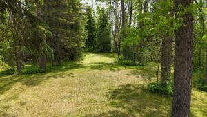 692 Dawson Point Rd.