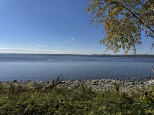 692 Dawson Point Rd.