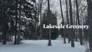 692 Dawson Point Rd.