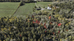 278089 Milberta Road