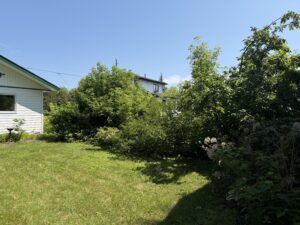 196 Whitewood Avenue
