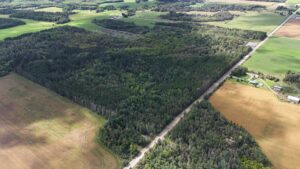 PT LT 1 CON 1 DYMOND Rockley Road, Temiskaming Shores