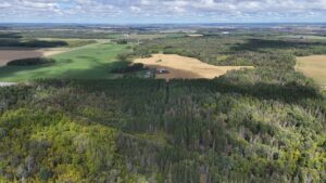 PT LT 1 CON 1 DYMOND Rockley Road, Temiskaming Shores