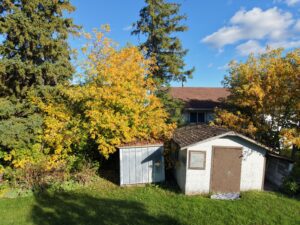 177 Georgina Avenue